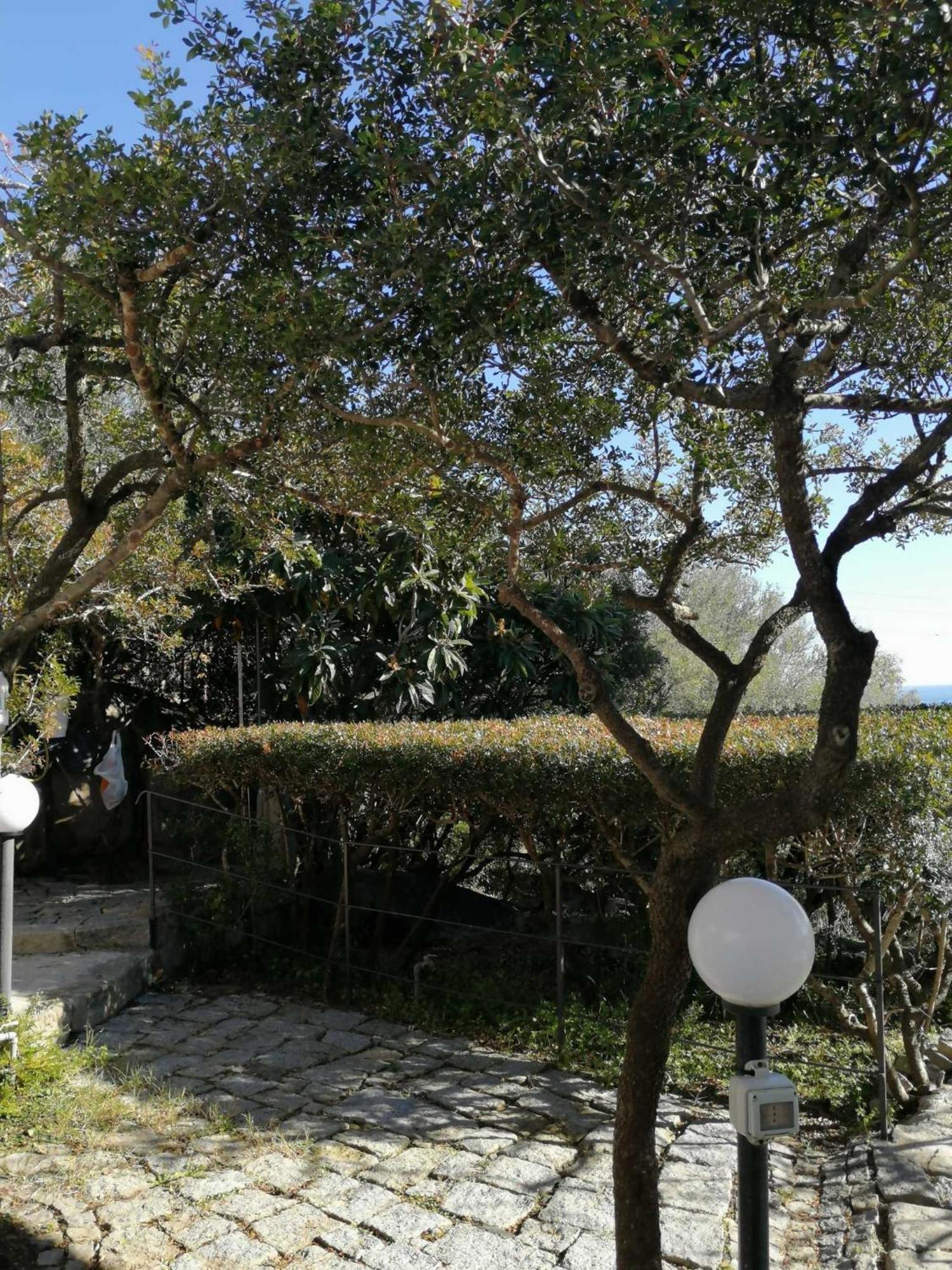 Sa Domu De Orri Al Mare Villa Tortolì Eksteriør billede